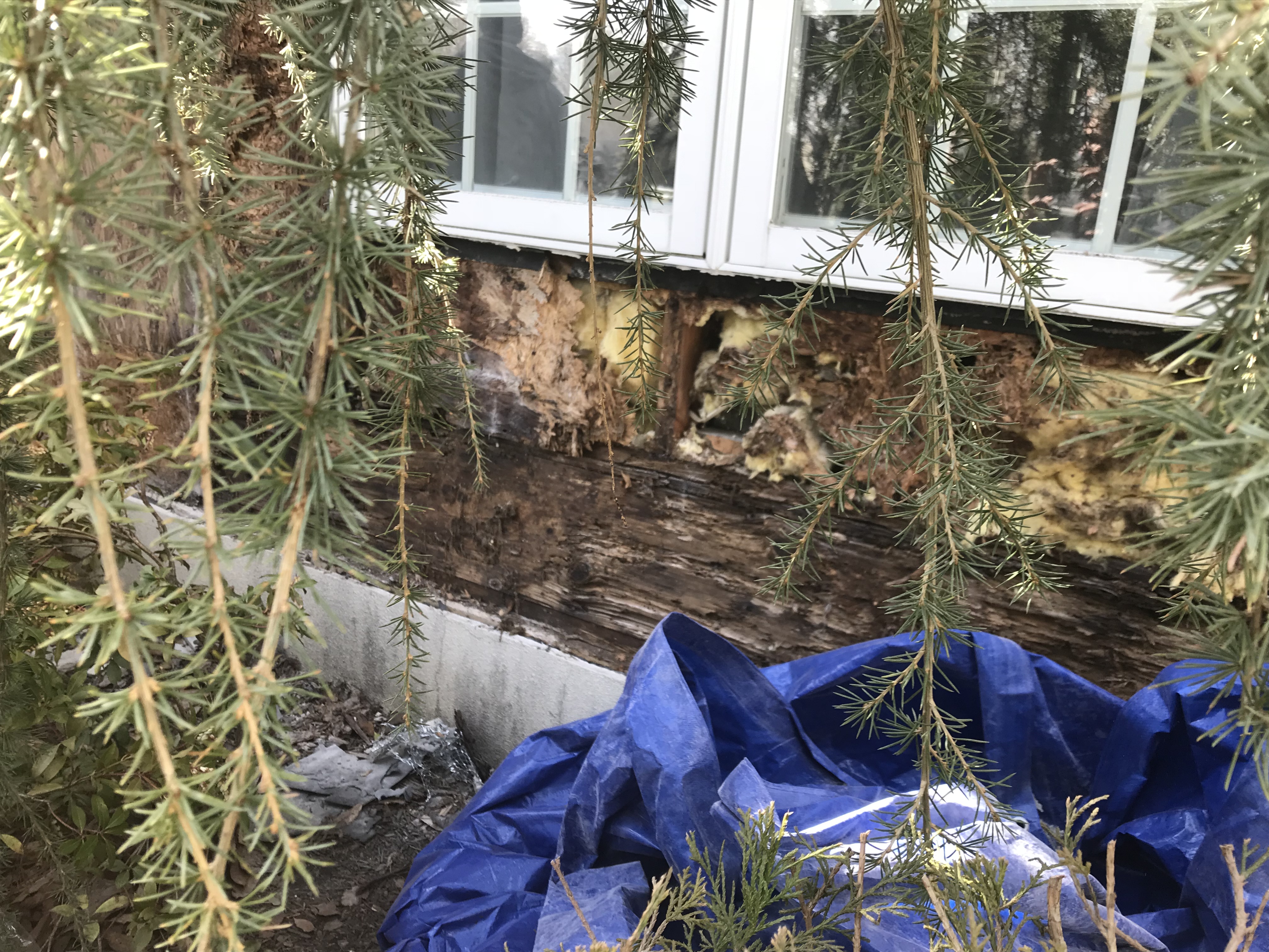 Remove stucco Doylestown PA