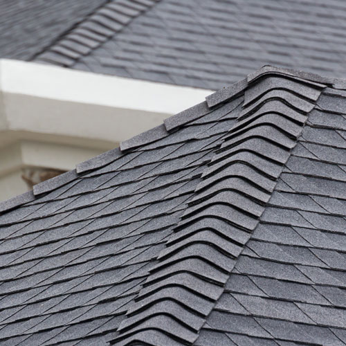 Roses are Red, Violets are Blue, Here’s How to Choose a New Roof That’s Perfect For You