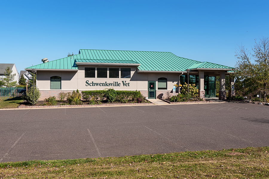 Glick's grey stucco will provide an elegant and modern look to your business