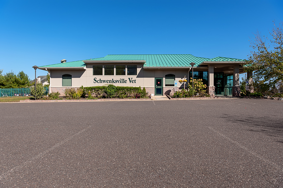Beautiful stucco business project