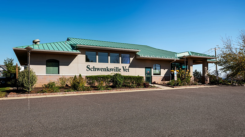 Schwenksville Roofing Project