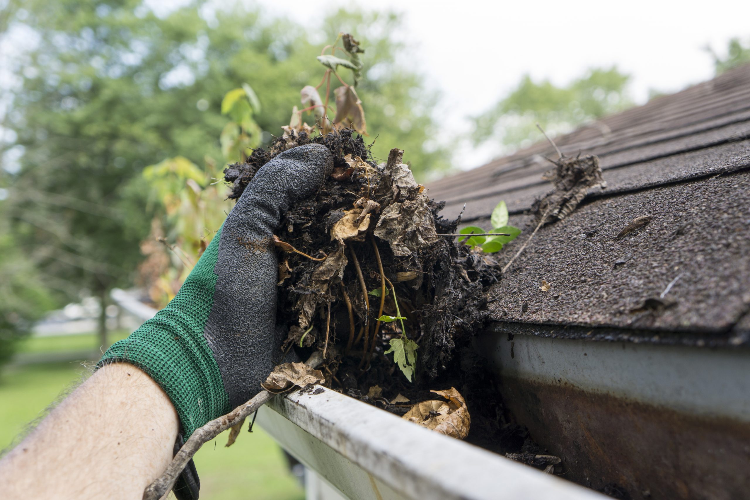 Here’s Everything You Need to Know When It Comes to Cleaning Your Gutters