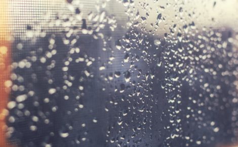 raindrops on a window