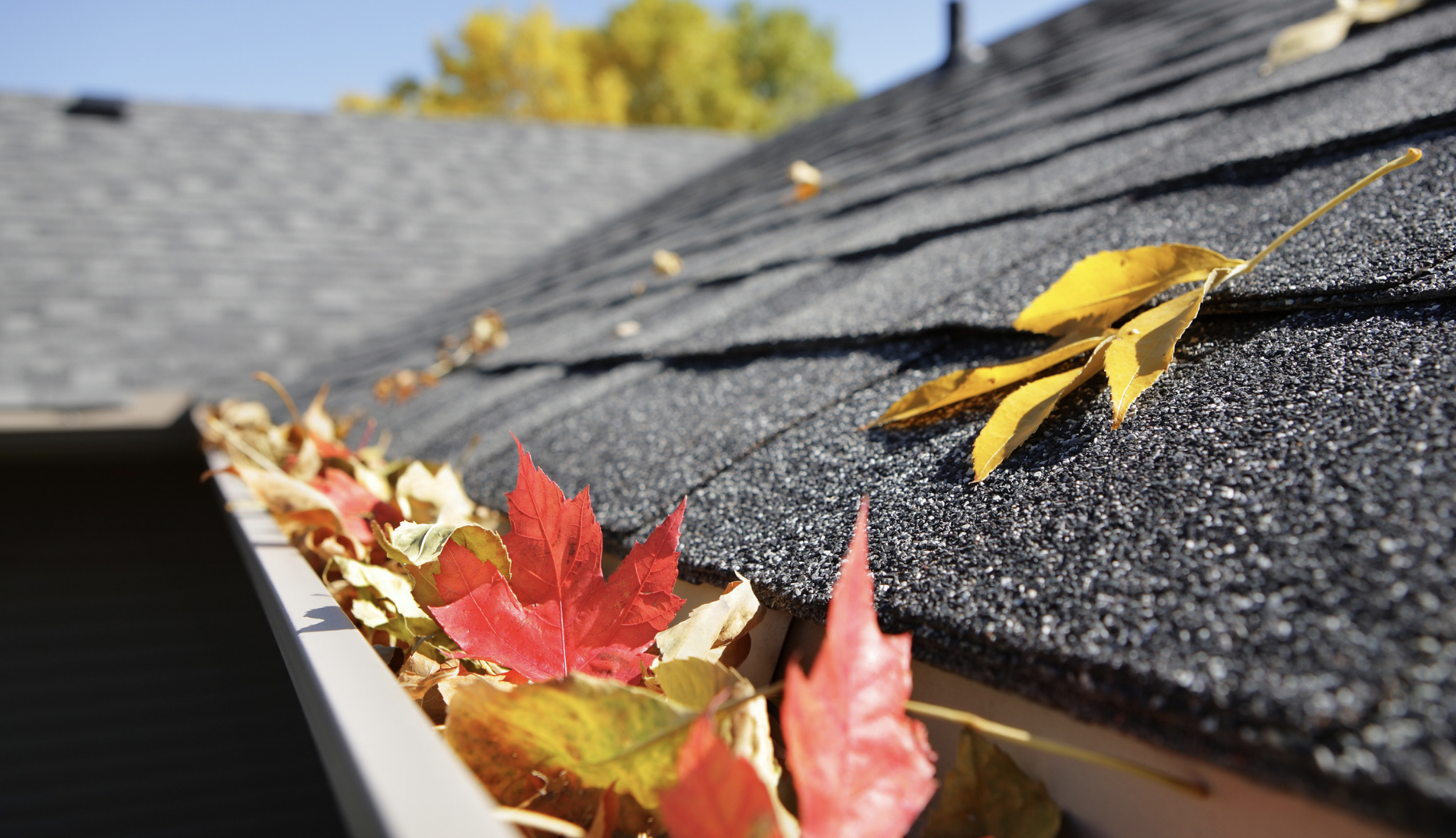 Prepare Your Roof For Fall